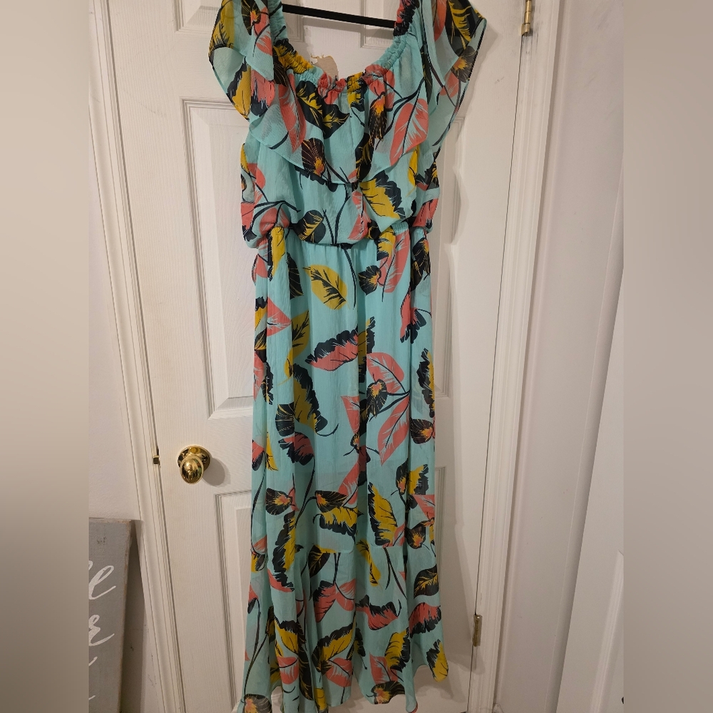 Express Floral Print Maxi Dress in Blue and Pink